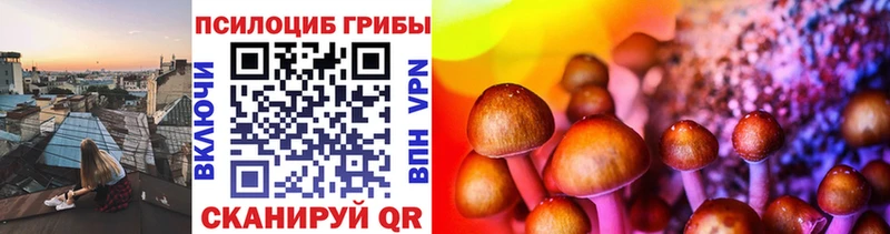 Галлюциногенные грибы MAGIC MUSHROOMS  как найти   Валуйки 